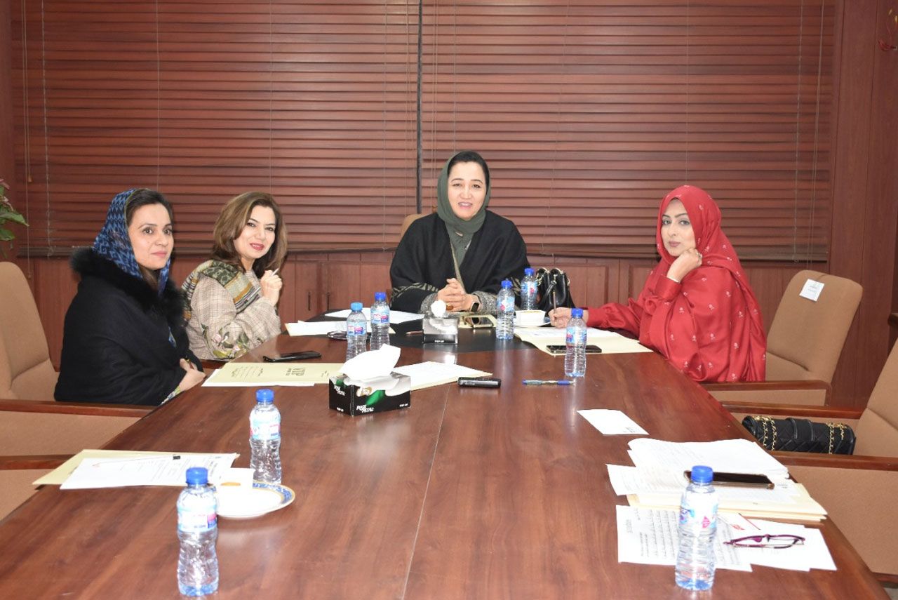 Meeting with TDAP Officials