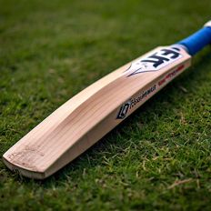 Cricket Bat